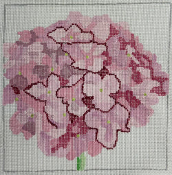 Pink Hydrangeas Canvas
