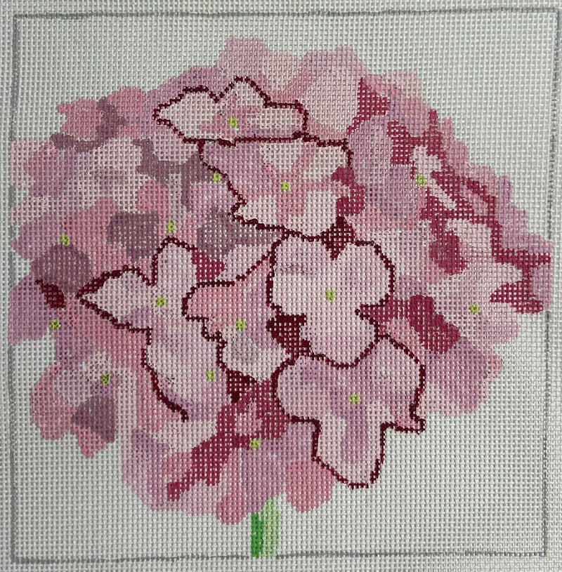 Pink Hydrangeas Canvas