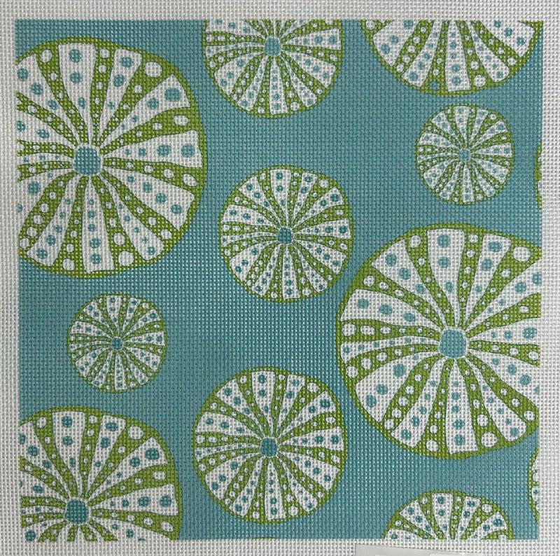 Turquoise Urchin Canvas
