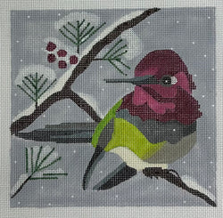 Winter Hummer Bird Canvas