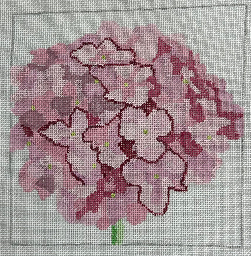 Hydrangea Canvas