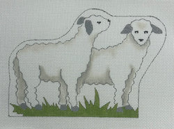 Nativity Sheep Canvas