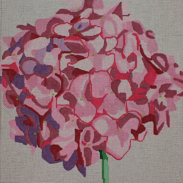 "Pink Hydrangea Canvas"